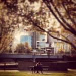 21276_10151923161902796_1675267825_n